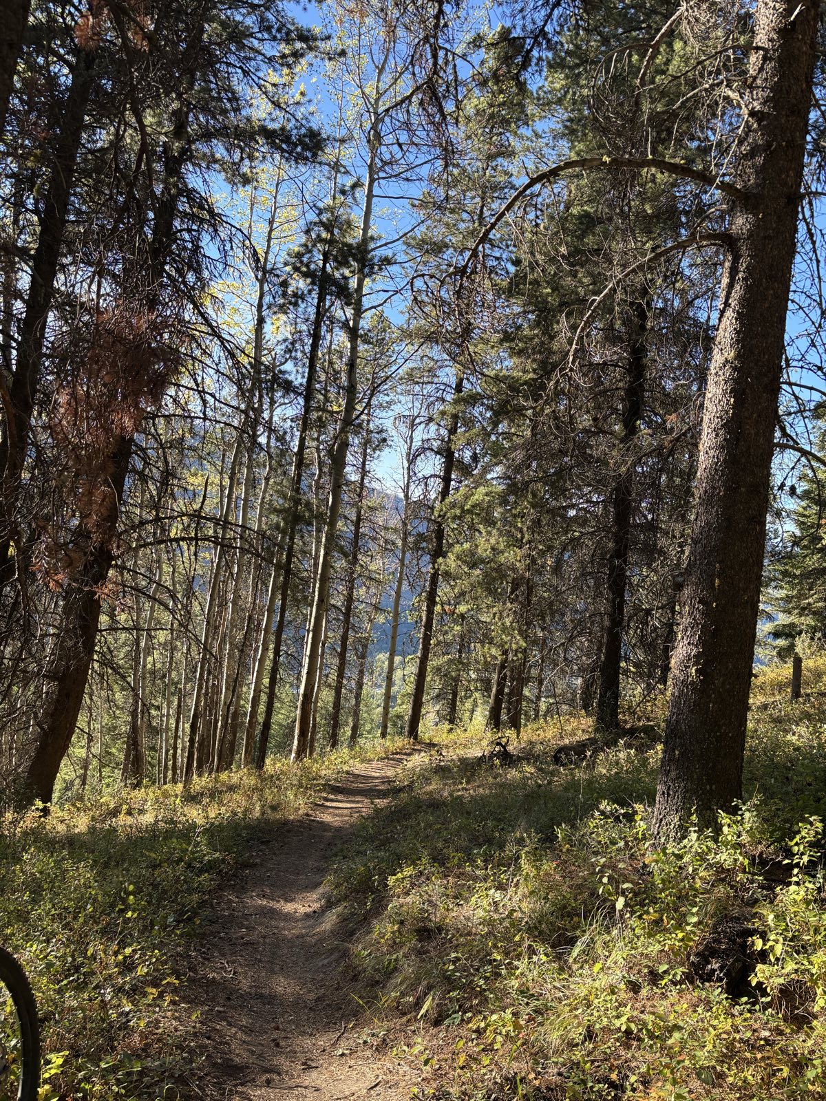Lunch Loop trail photo 4