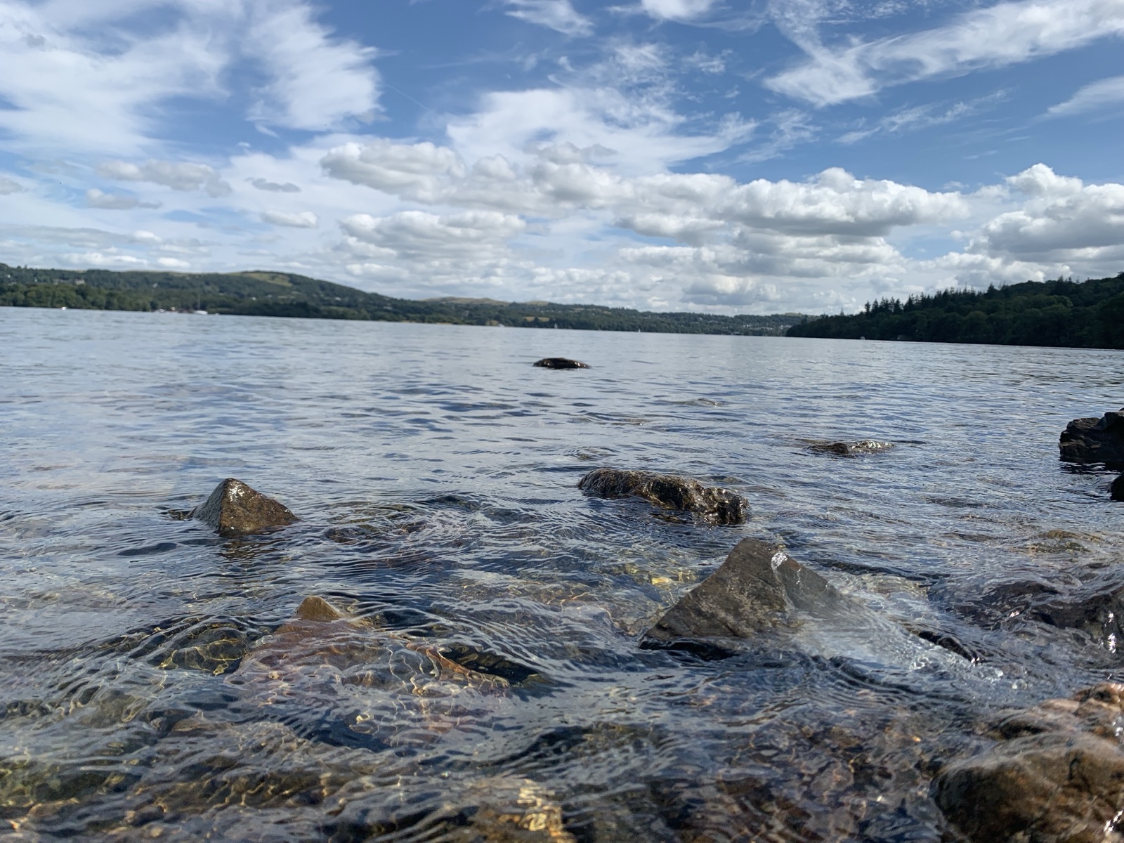 Grizedale Tarn Trail trail photo 1