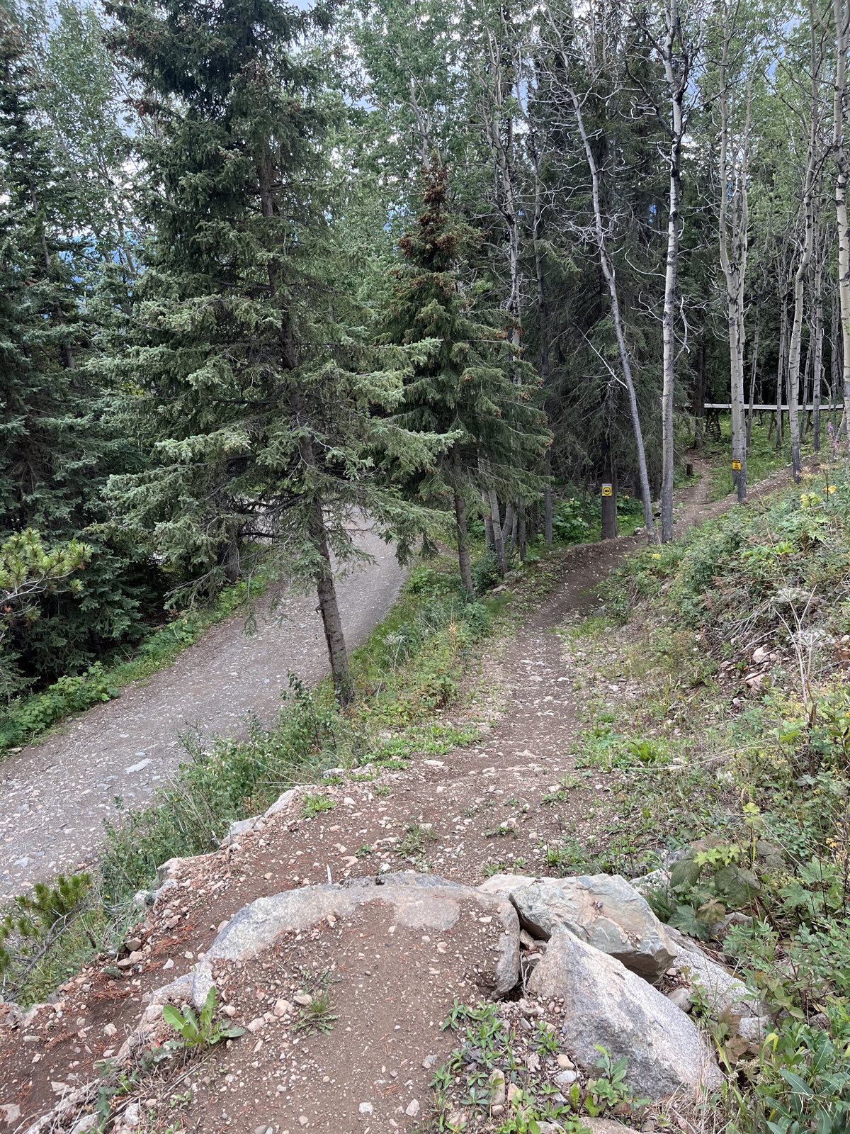 Hogzilla trail photo 4