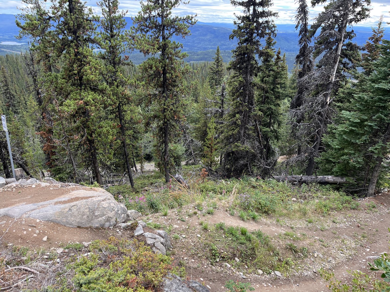 Hogzilla trail photo 3