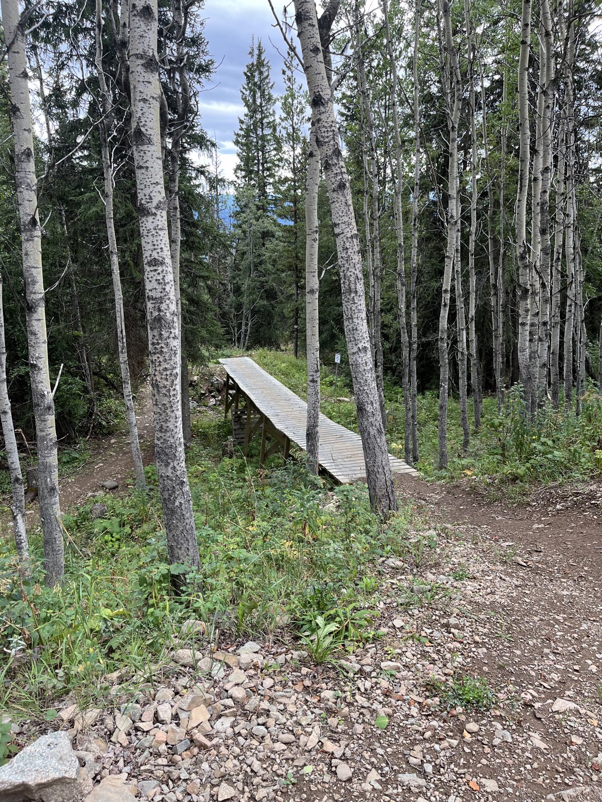 Hogzilla trail photo 5