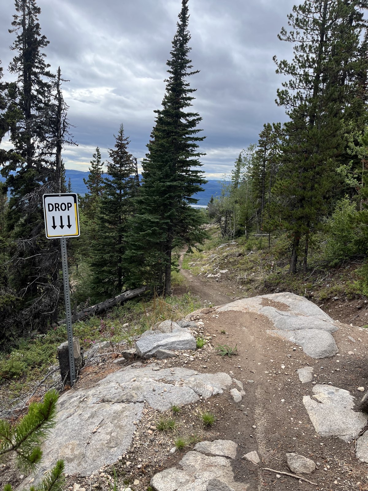Hogzilla trail photo 2
