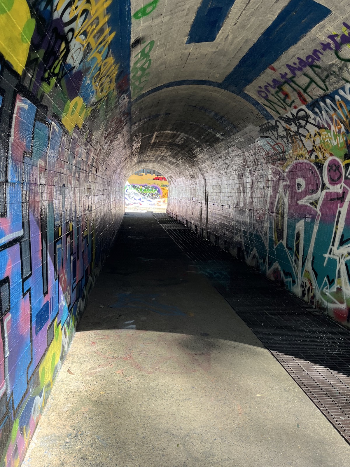 Murri-Yanna Walk trail photo 1