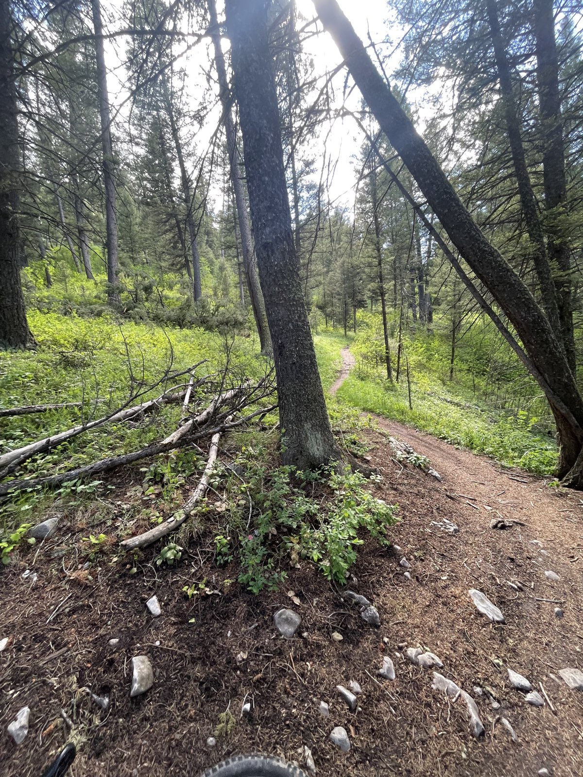 Ride Don't Slide trail photo 2