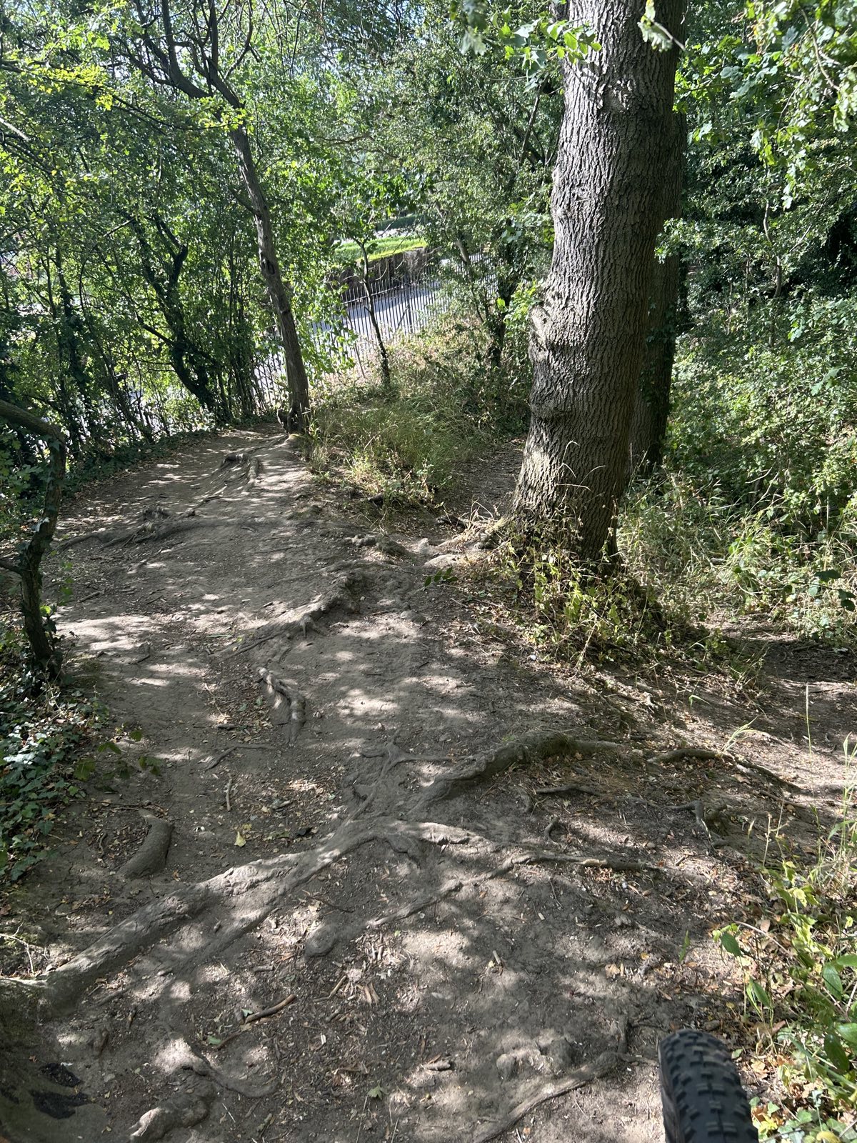 Crematorium downhill trail photo 2