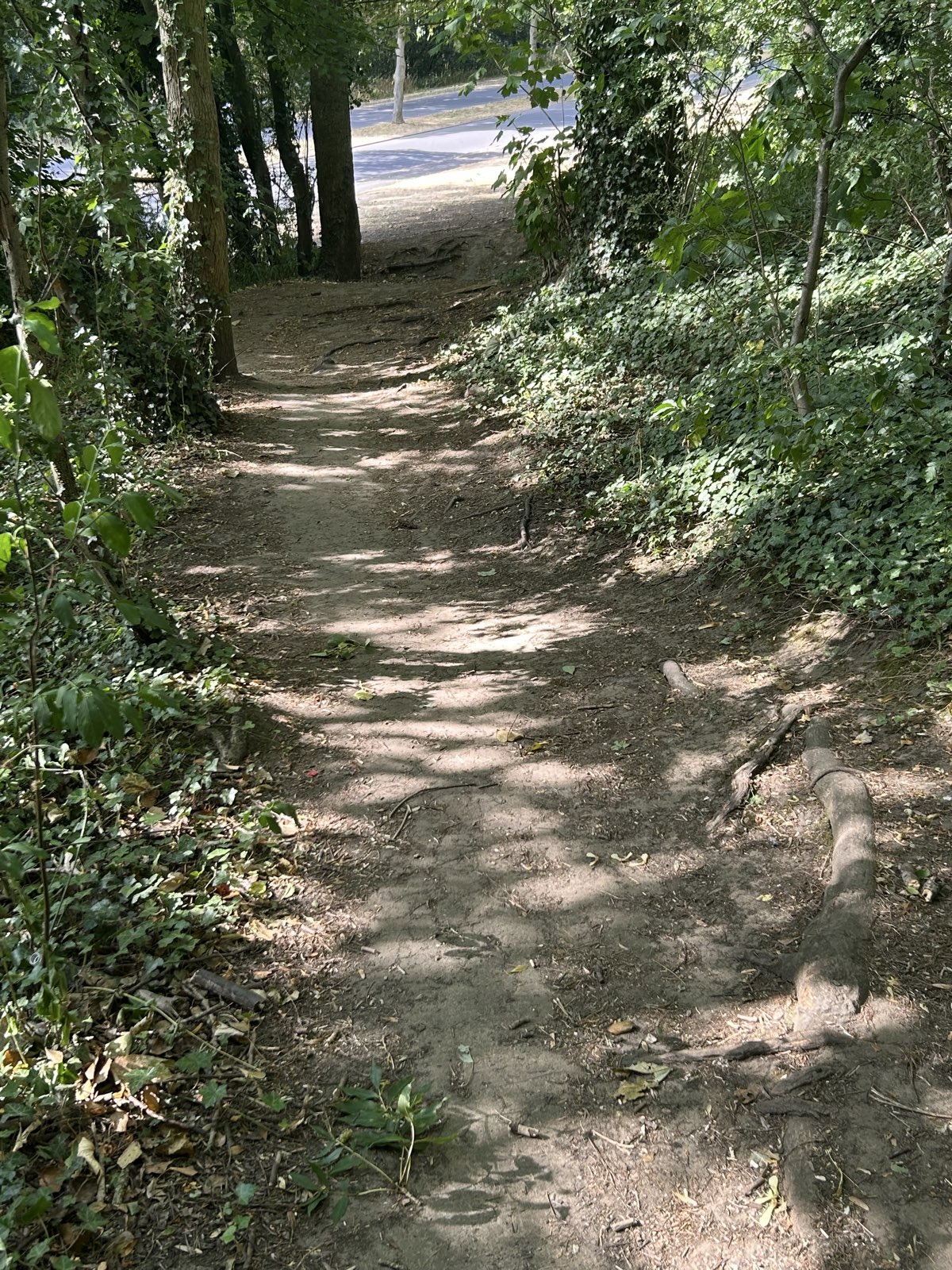 Crematorium downhill trail photo 5