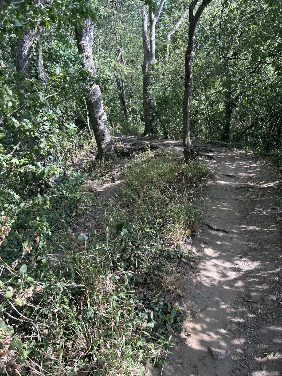 Crematorium downhill trail photo 3