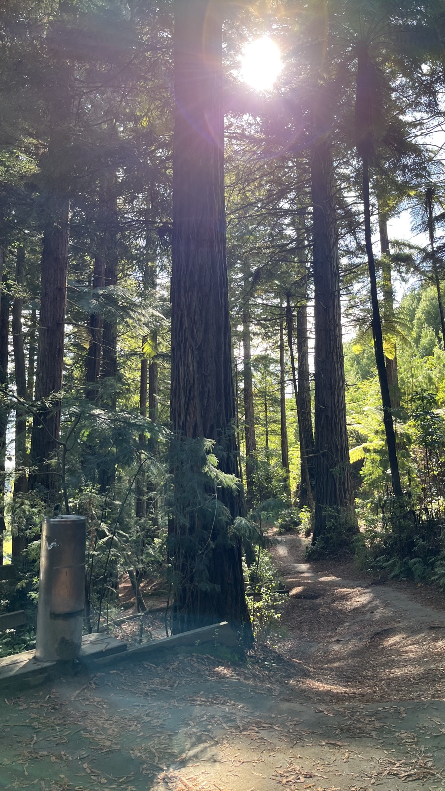 Dodgy Trail trail photo 1