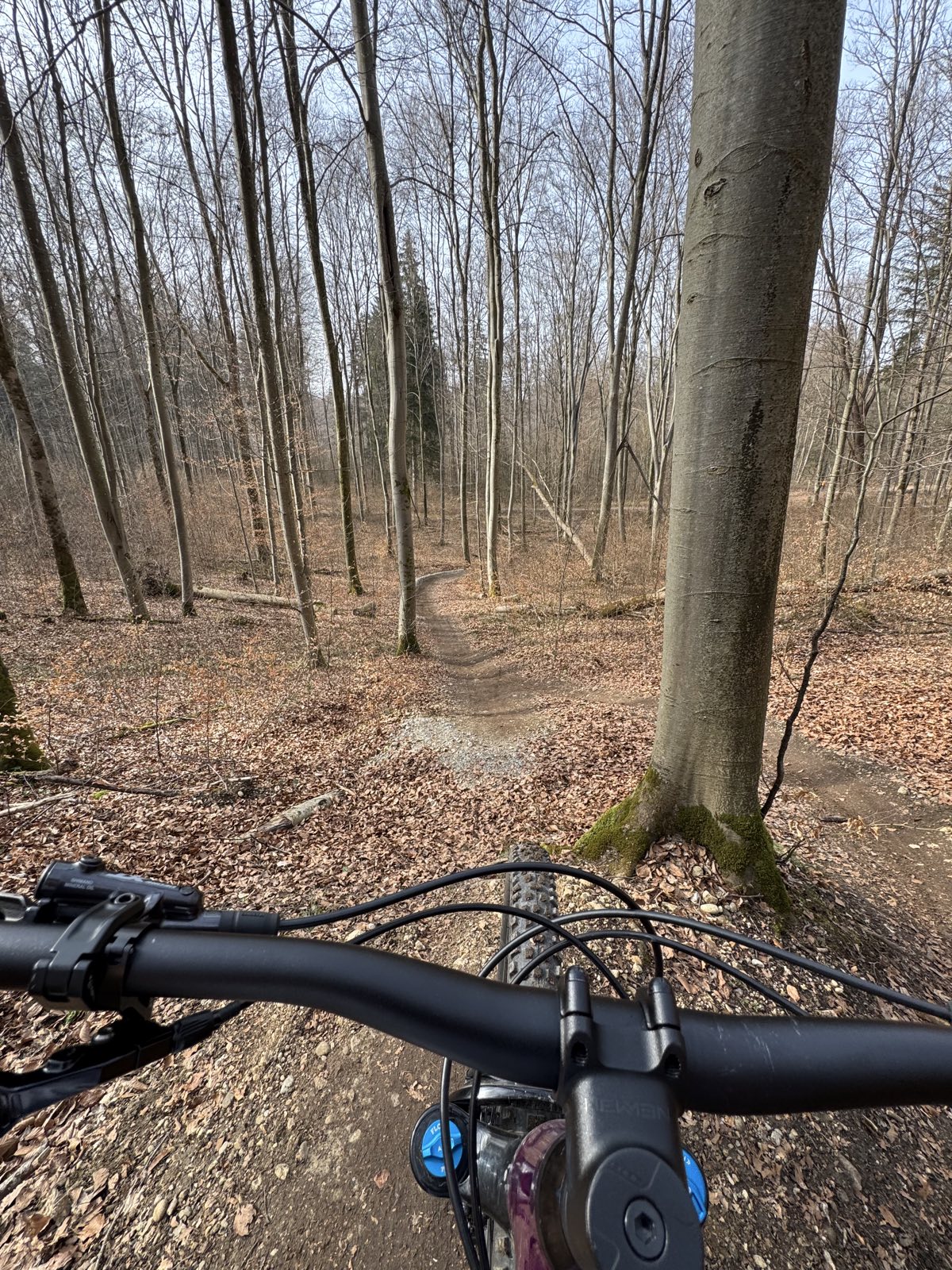 Plumber trail photo 1