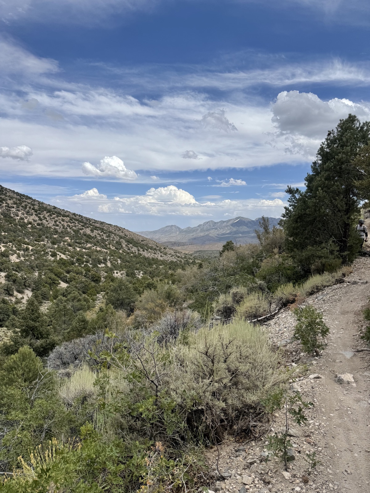 Tin Can Alley trail photo 2