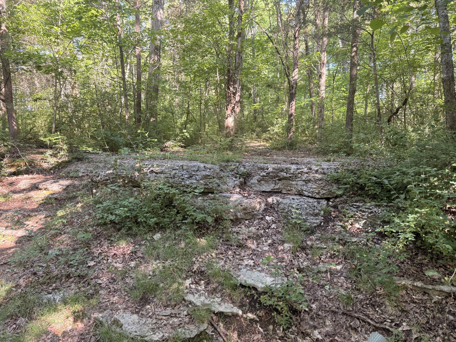 Hamilton Creek MTB Trail trail photo 4
