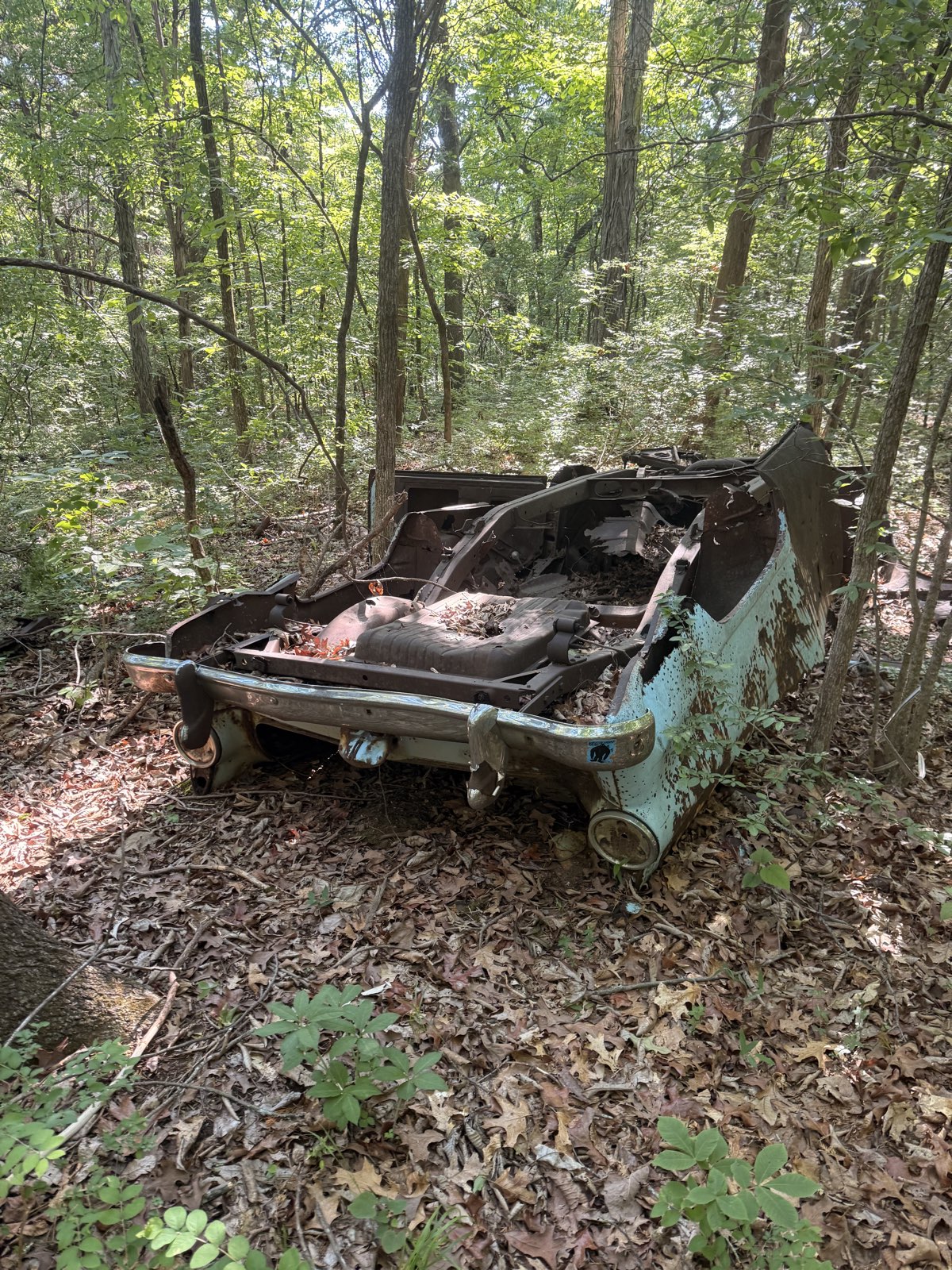 Hamilton Creek MTB Trail trail photo 3
