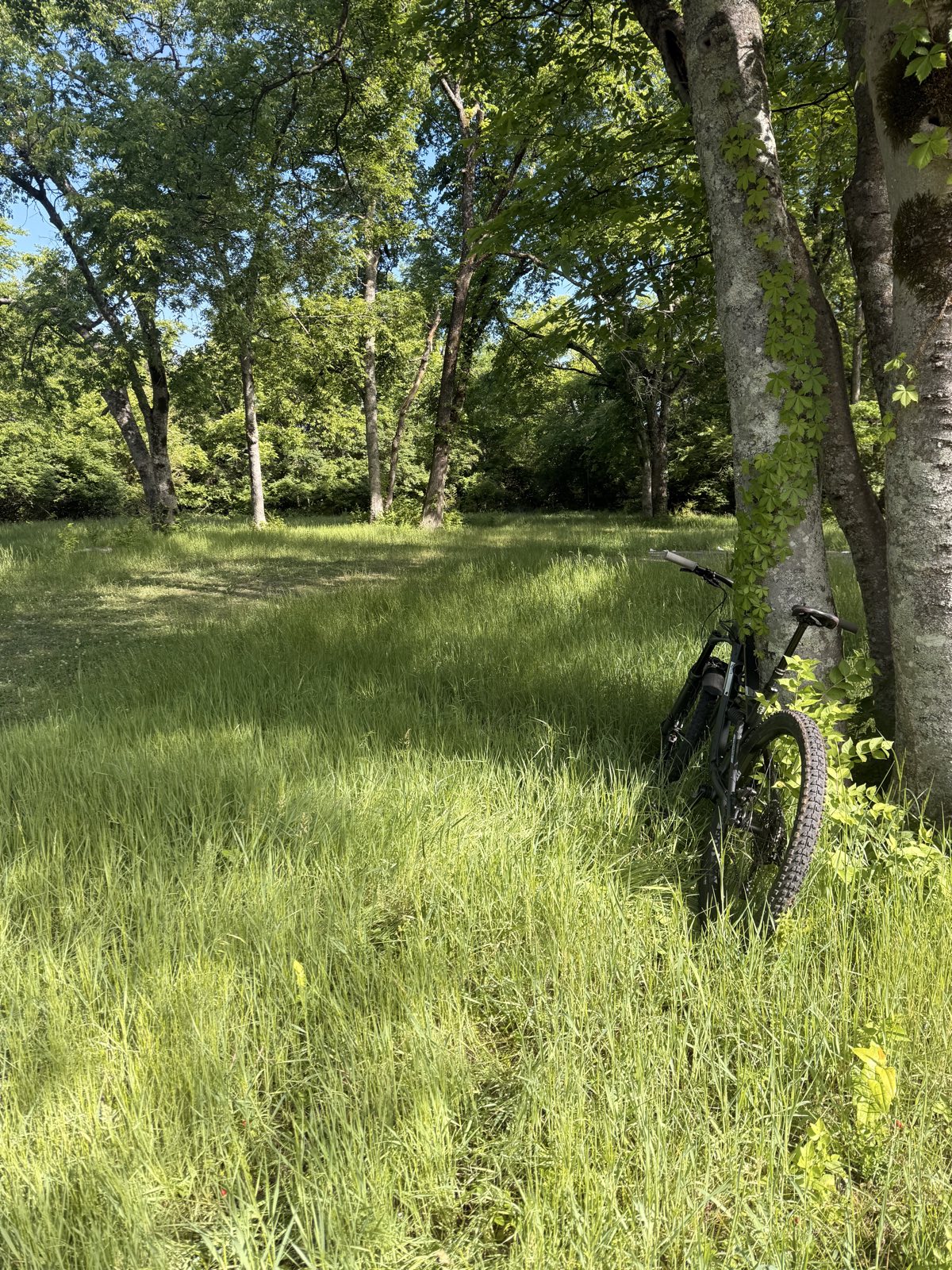 Hamilton Creek MTB Trail trail photo 2
