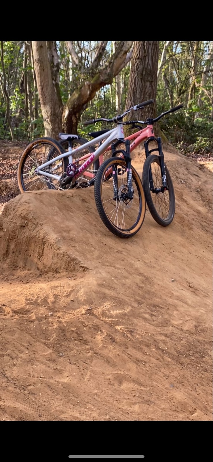 Big jumps trail photo 1