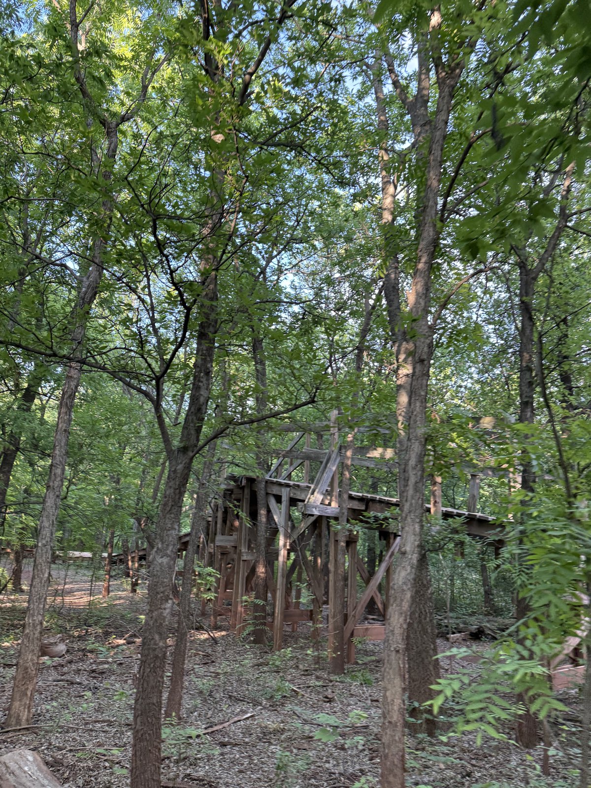 Wee-Chi-Tah trail trail photo 5