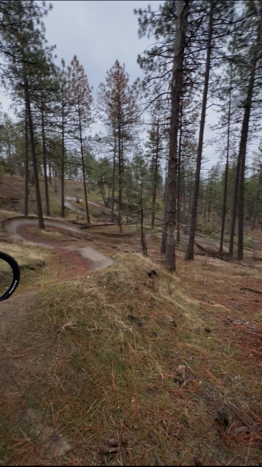 Hollywood trail photo 3