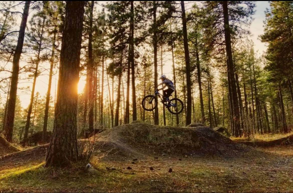 Hollywood trail photo 2