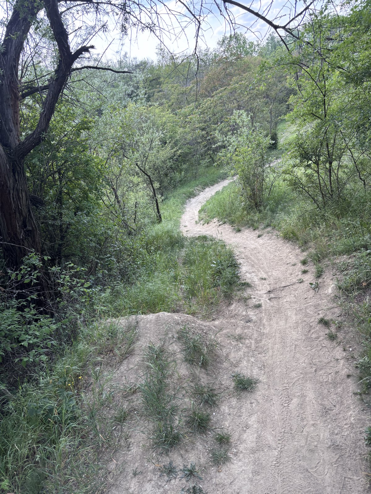 Jump line trail photo 1