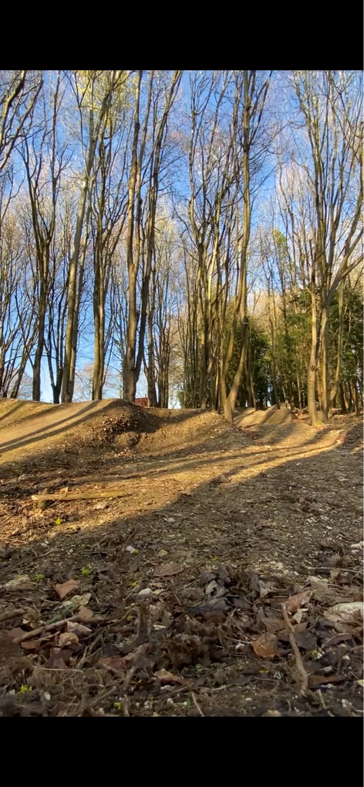 W Woods trail photo 1