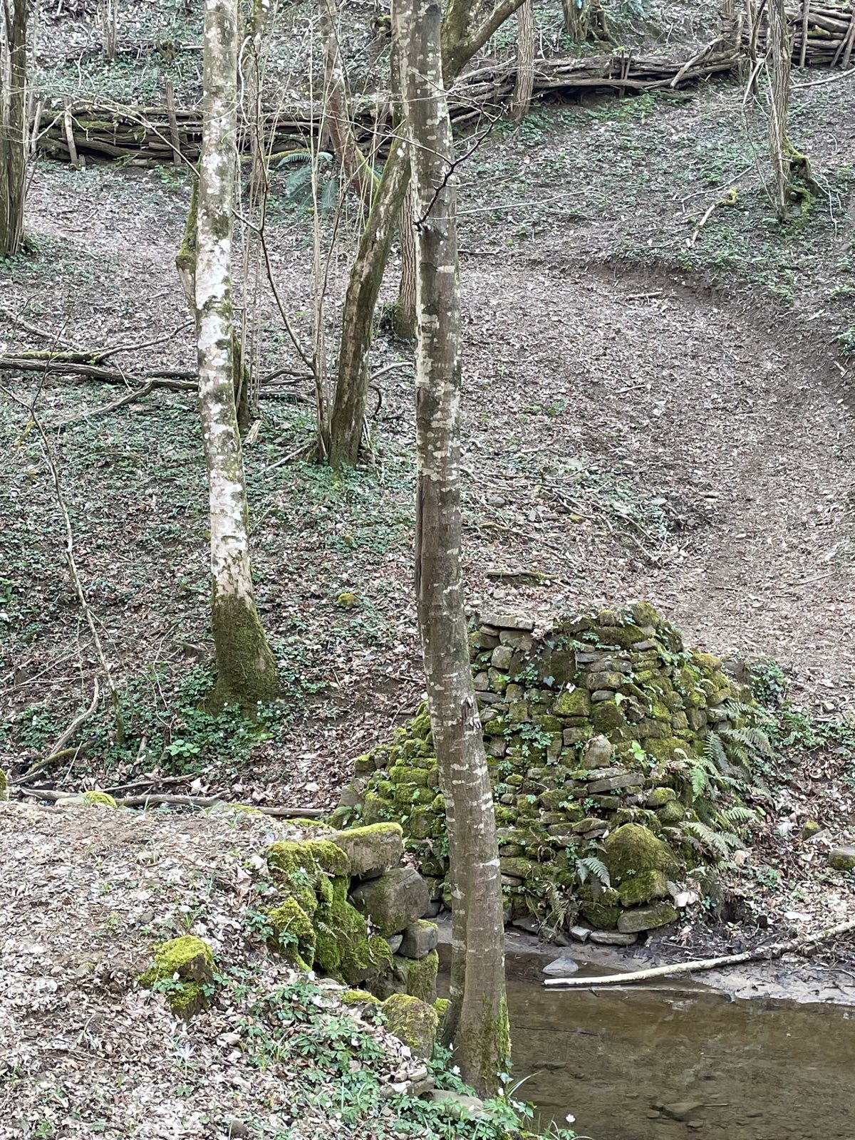 Jazbec trail photo 1