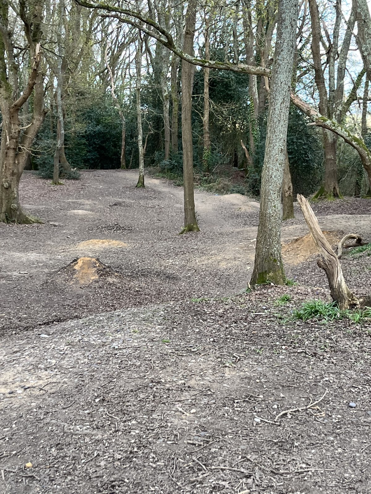 Otterbourne track trail photo 2