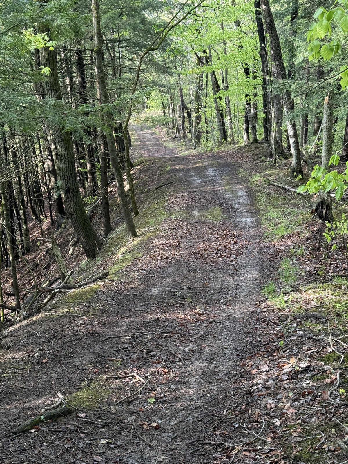 Downhill flash trail photo 2