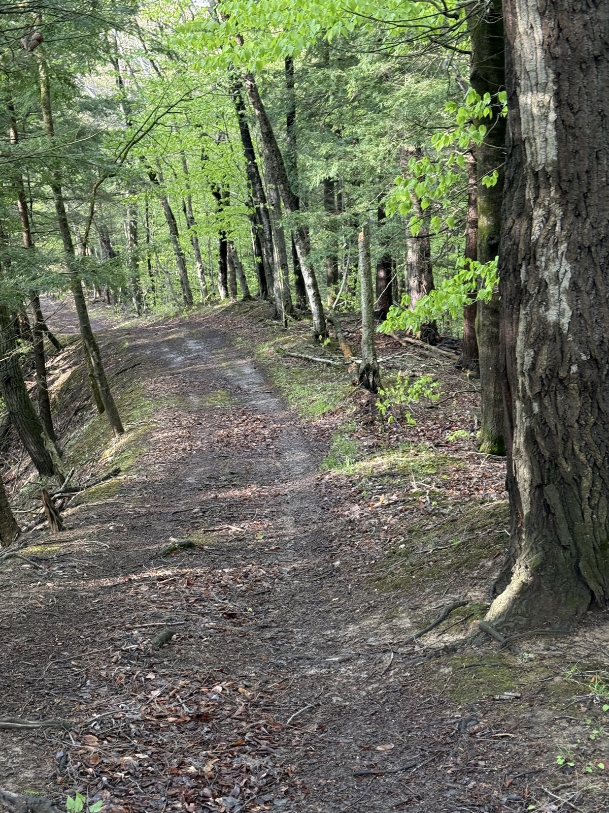 Downhill flash trail photo 1
