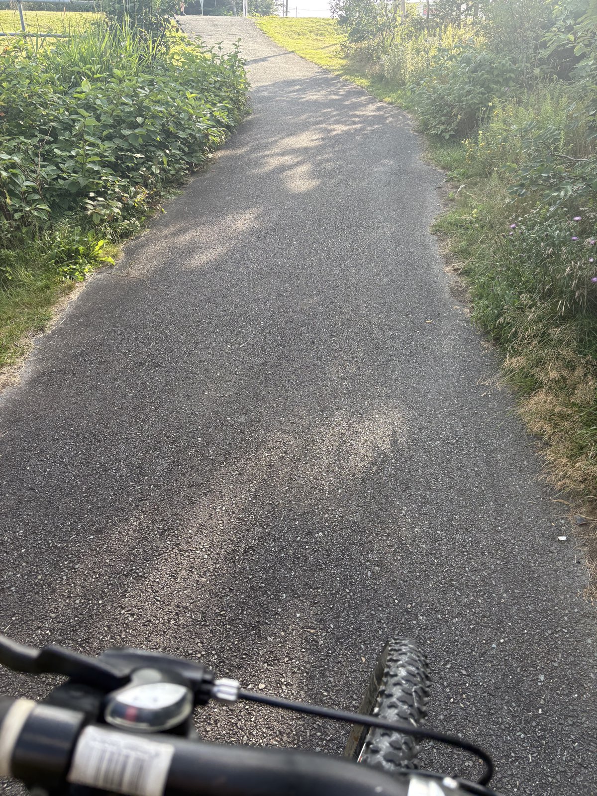 Admiralty Walk trail photo 3