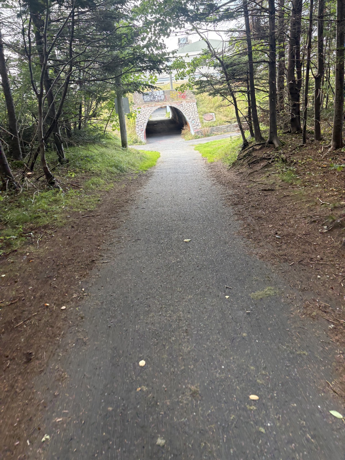 Admiralty Walk trail photo 5