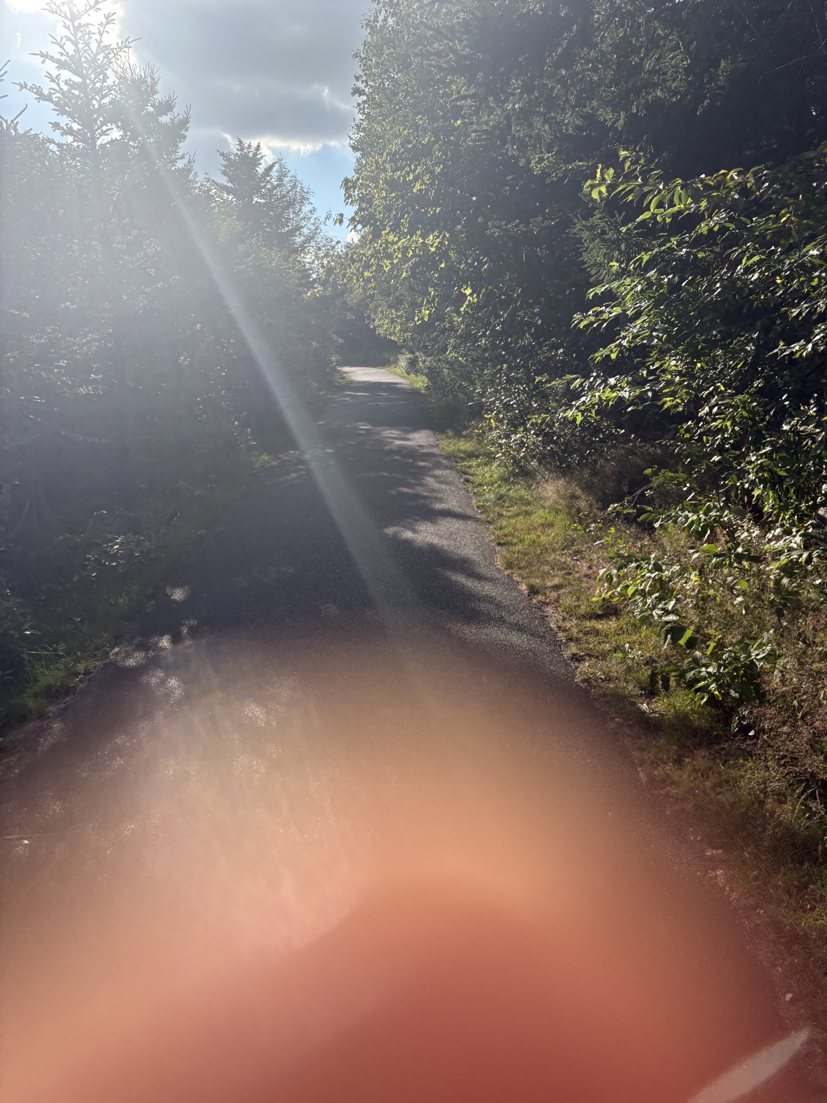 Admiralty Walk trail photo 2