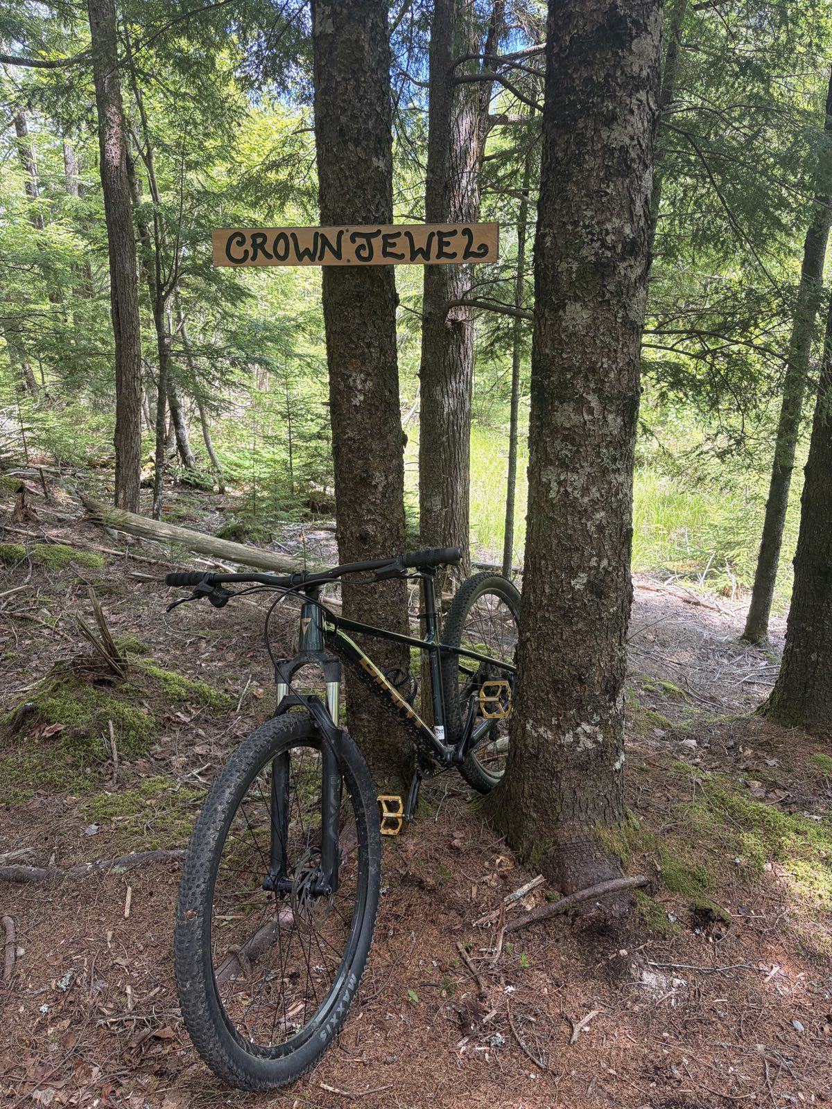 Crown Jewel trail photo 1