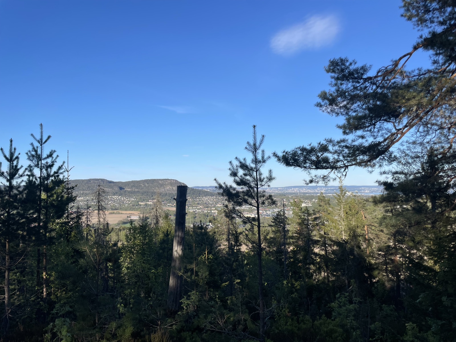 Jeg er kul trail photo 1