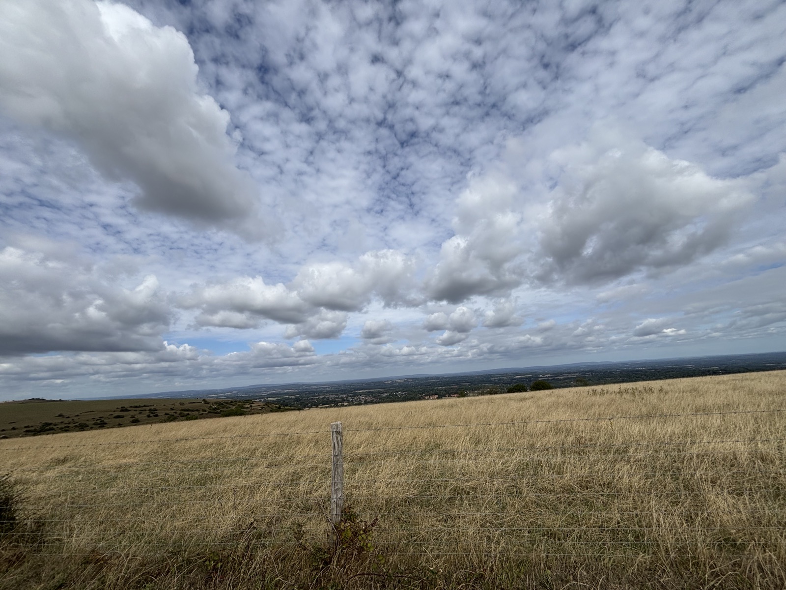 South Downs Way trail photo 3