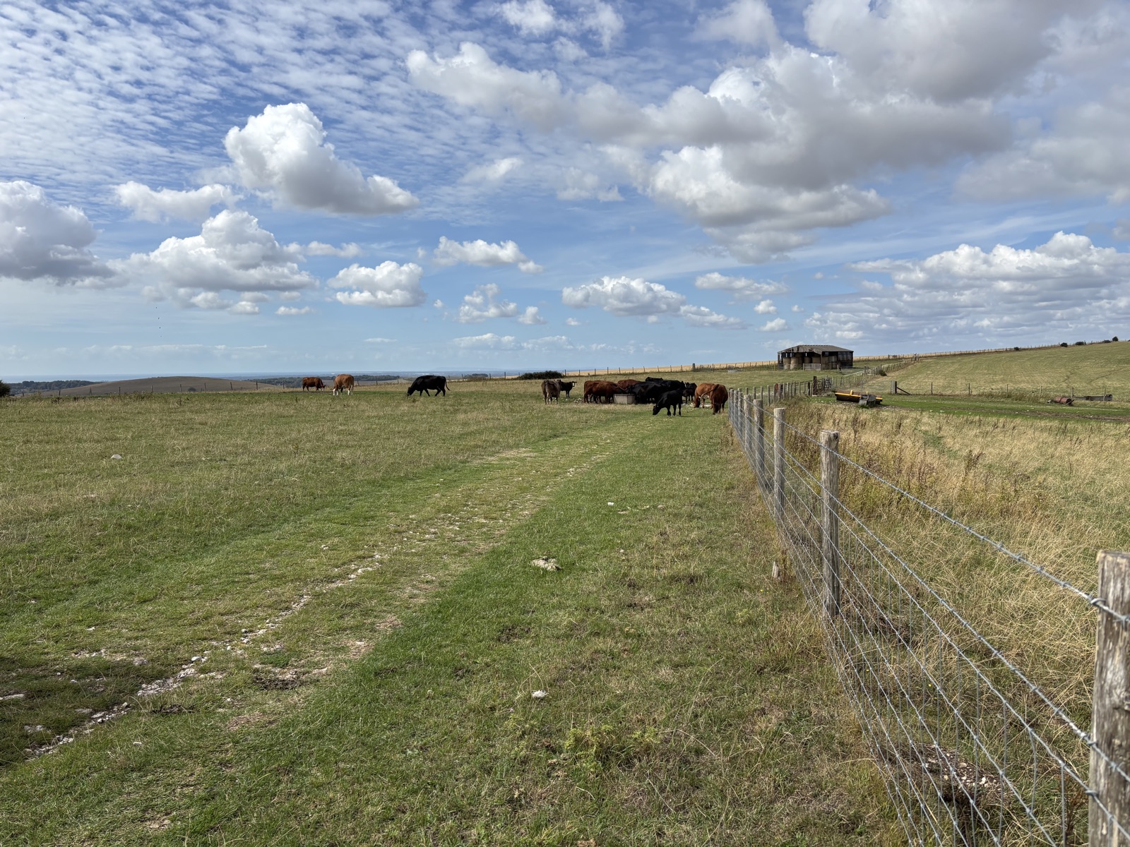 South Downs Way trail photo 1
