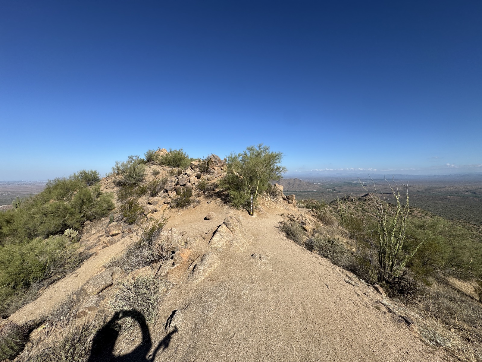 Red Mountain Rush trail photo 1