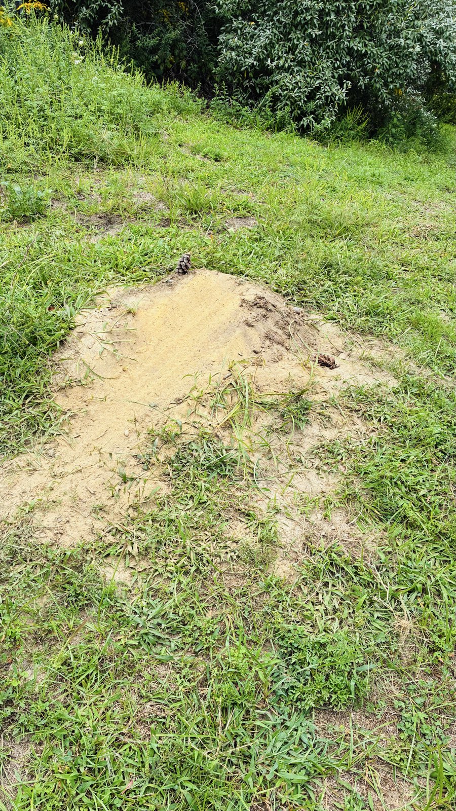 The cedar jump trail photo 3