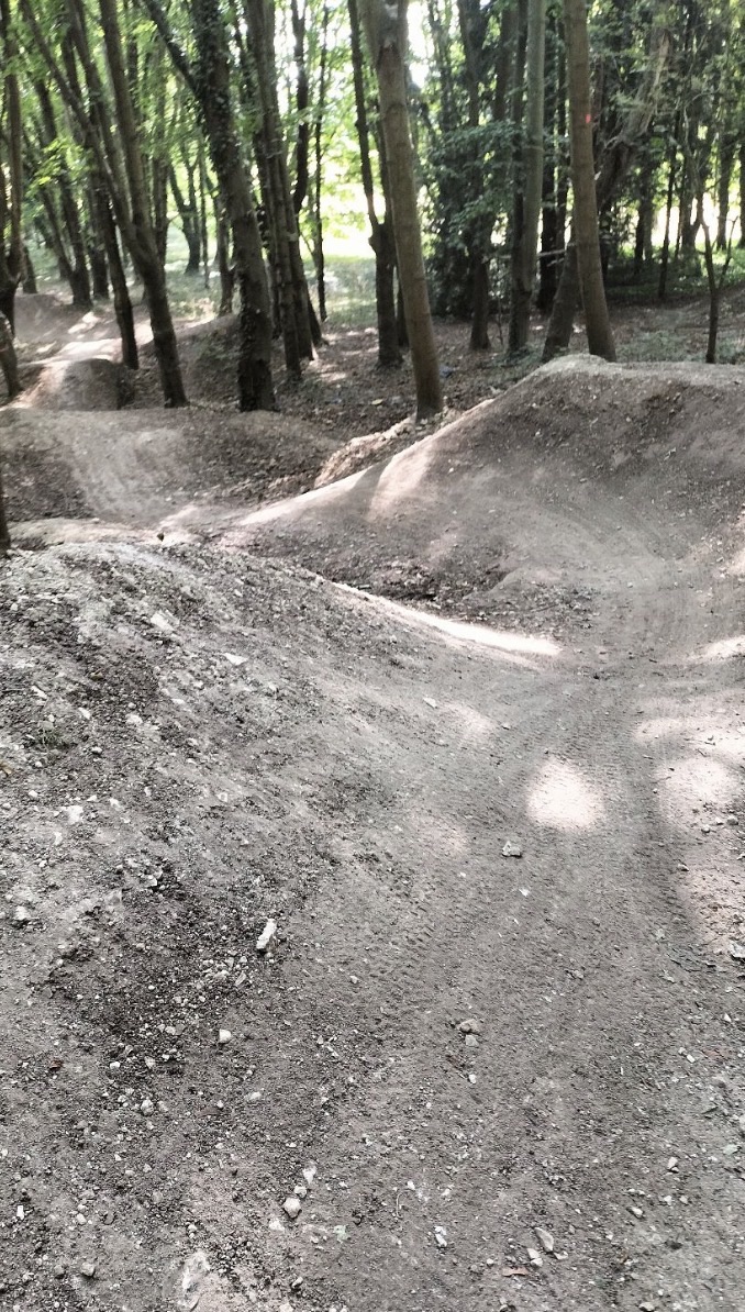 W Woods trail photo 2