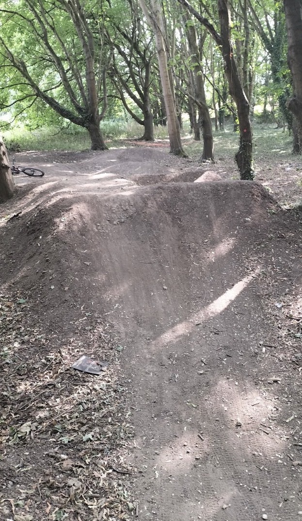 W Woods trail photo 3