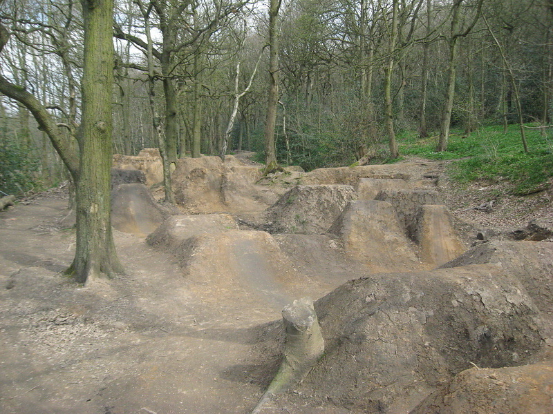 Monkey bumps trail photo 1