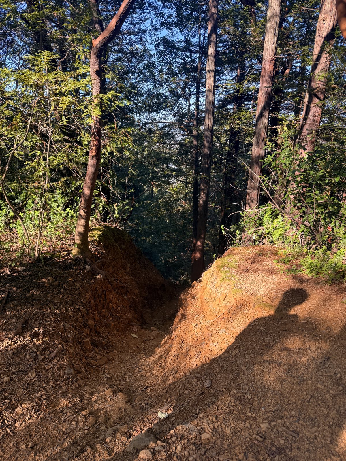 Big Dog trail photo 1
