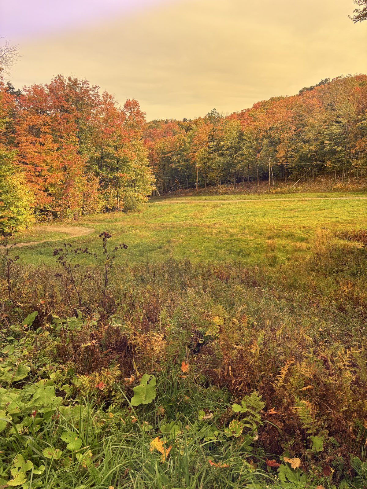 21 Grande Douce trail photo 1
