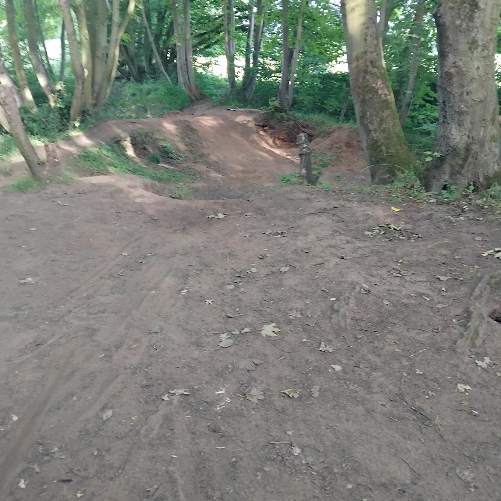 Goostrey A Line / Main Line trail photo 3