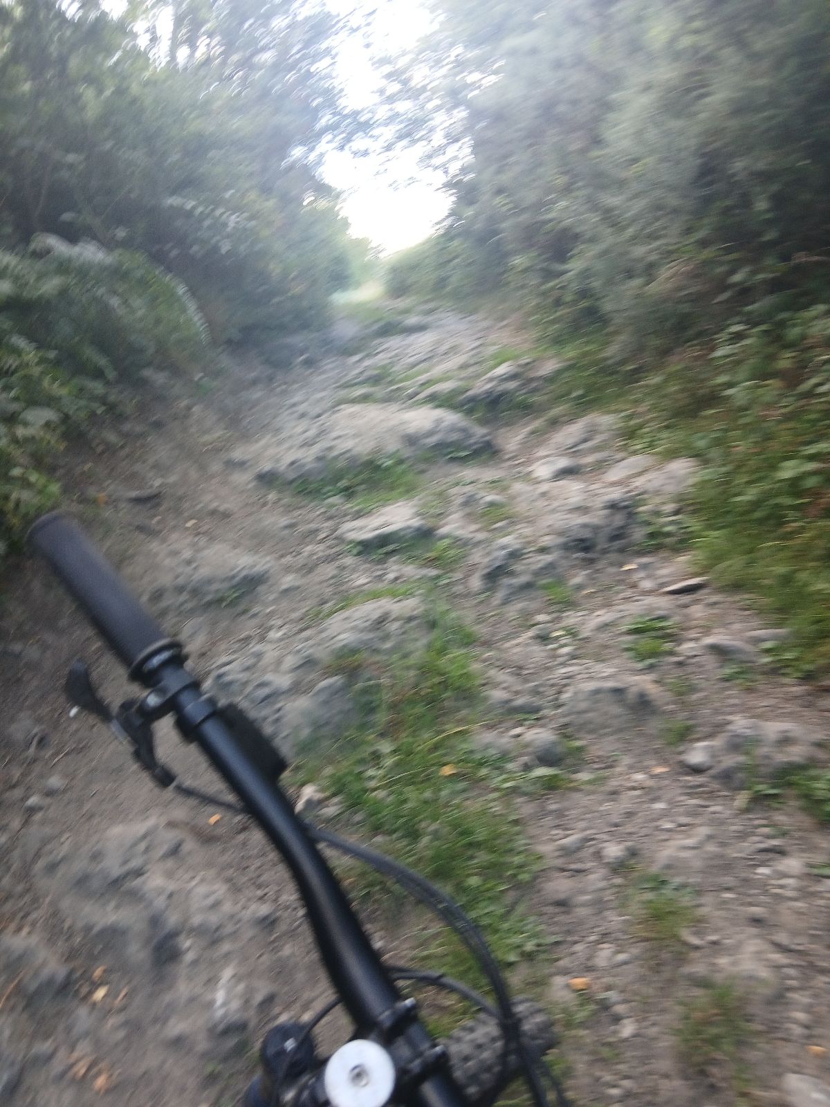 Chapple Speed trail photo 2