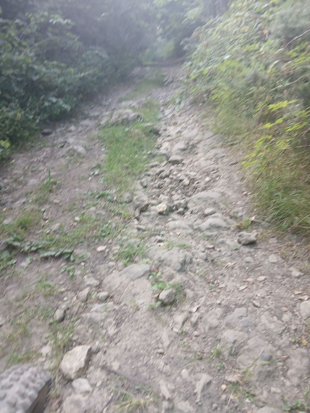 Chapple Speed trail photo 3