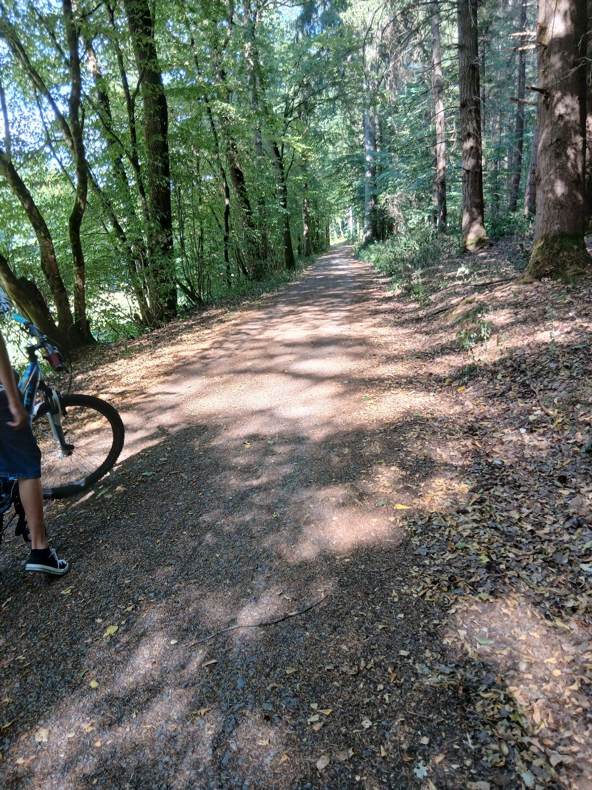 Pavillonweg trail photo 2