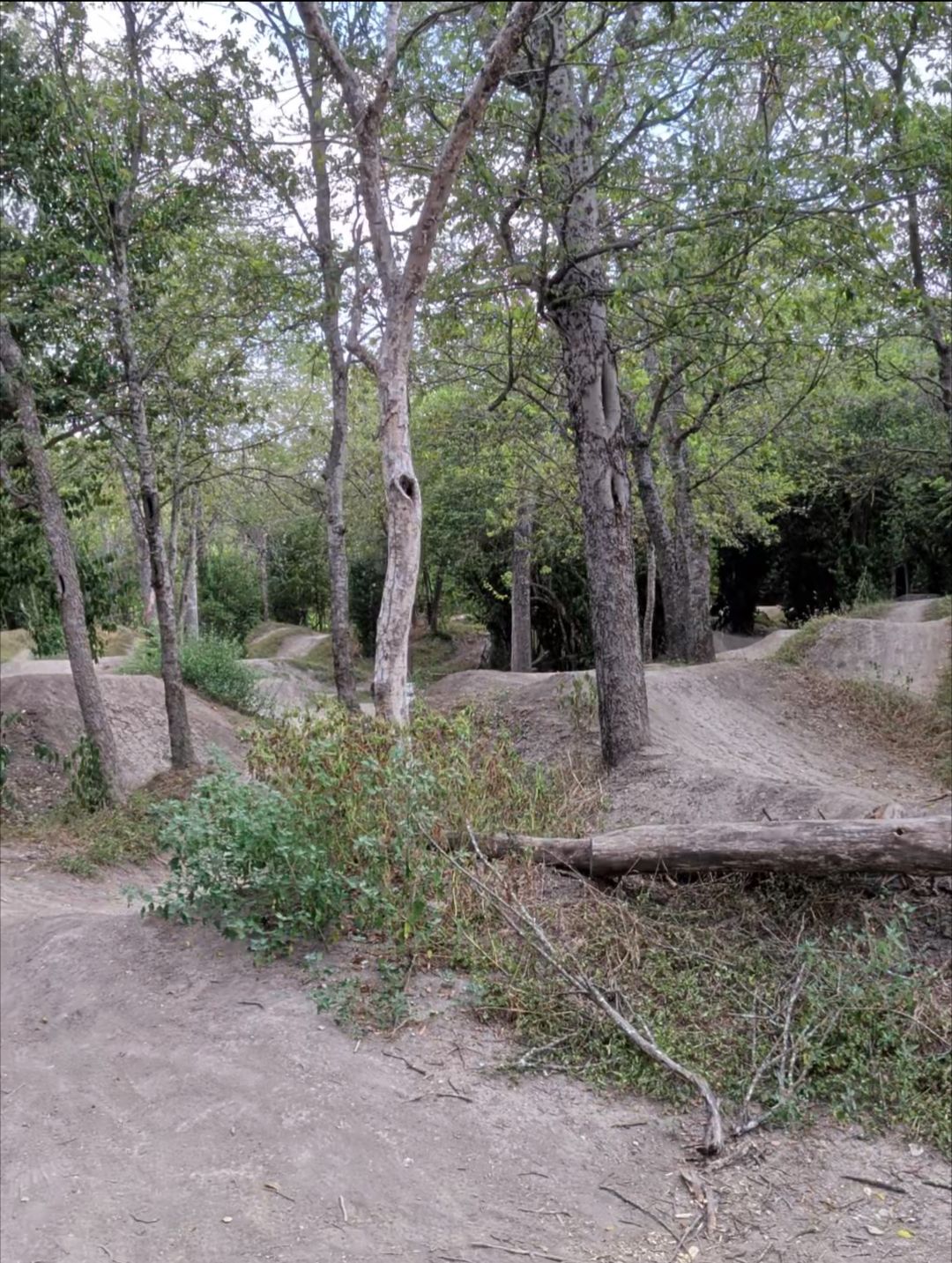 BMX Loop trail photo 4