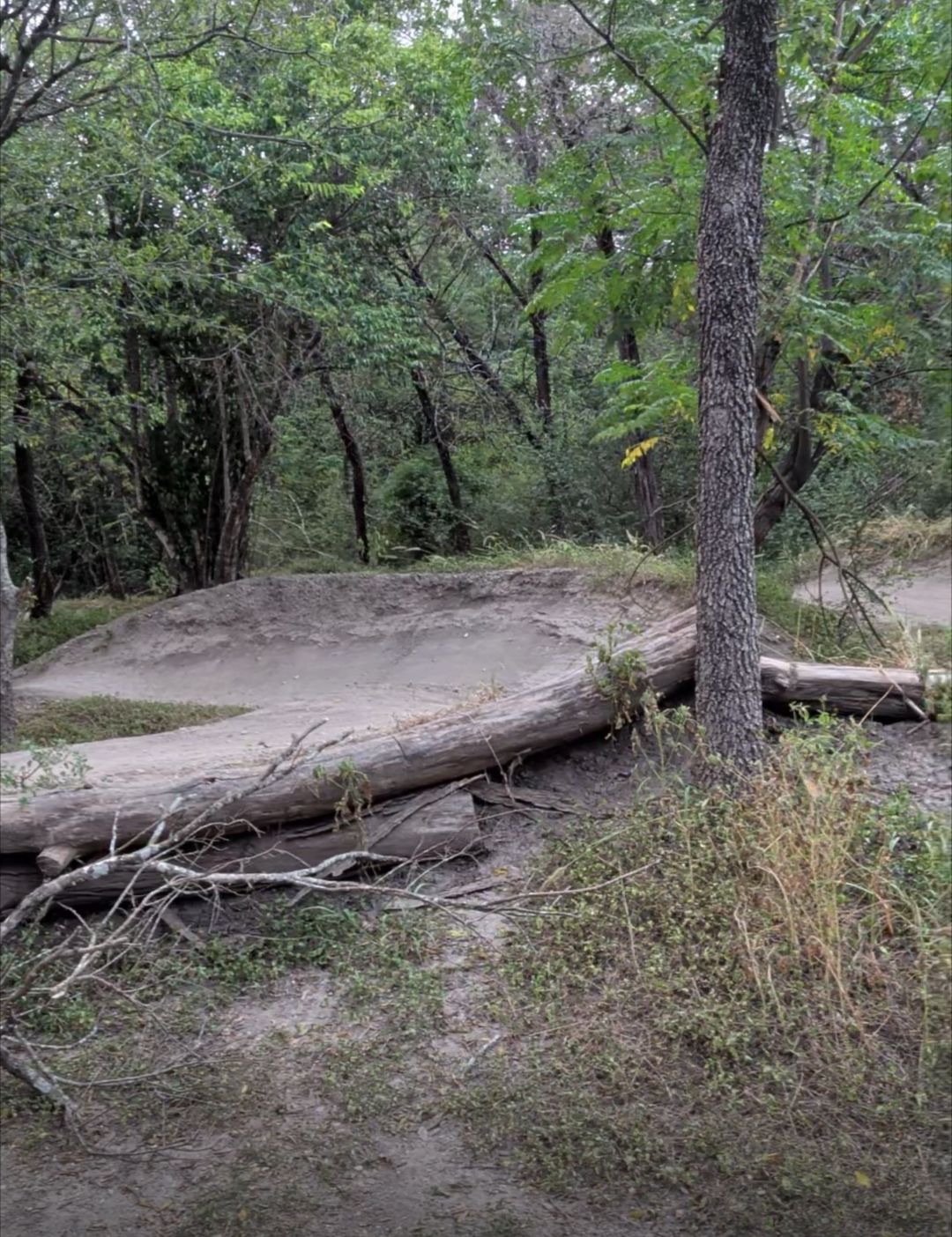 BMX Loop trail photo 3