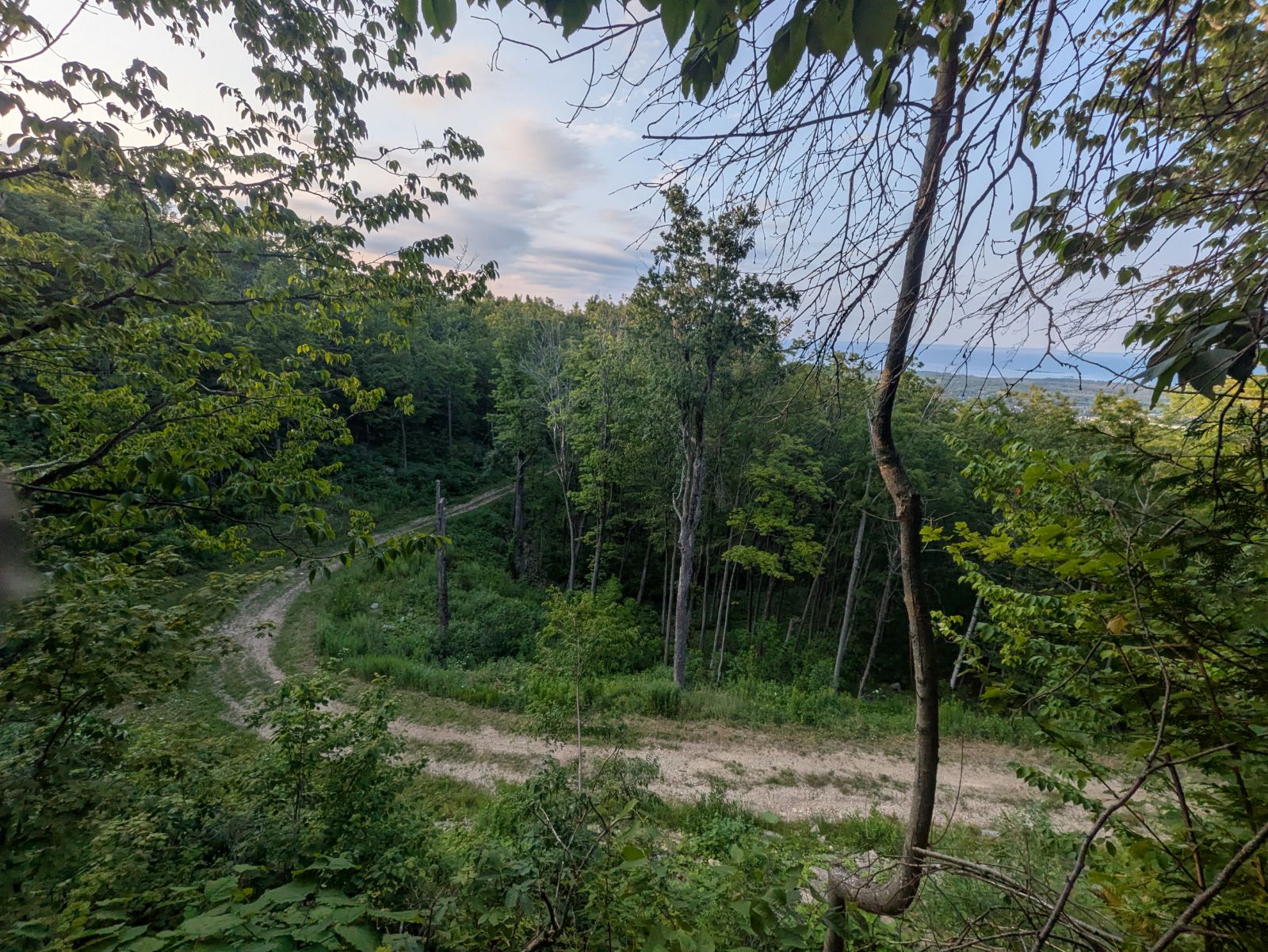 Green World trail photo 4