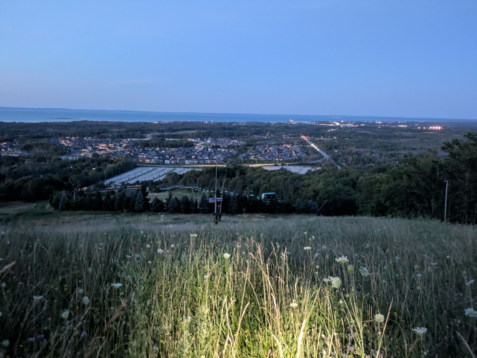 Green World trail photo 2