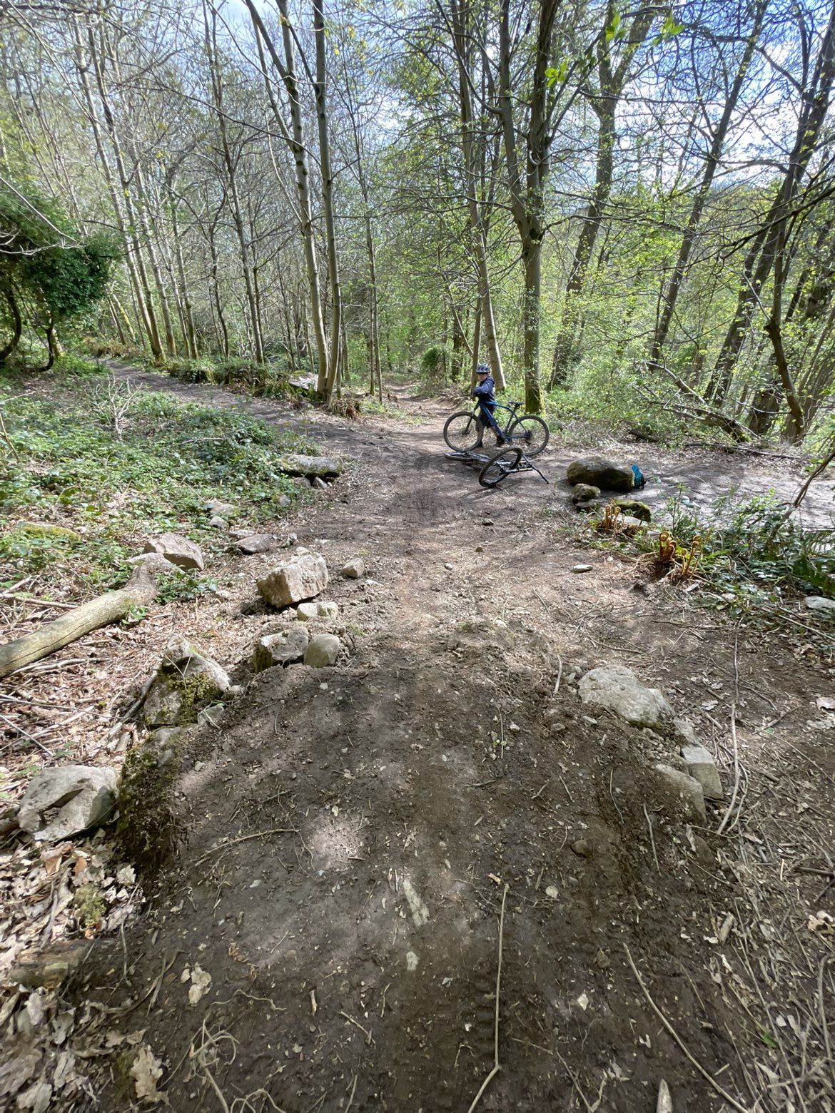 Candy trail photo 2